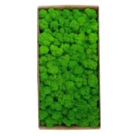 1500g Simulation Plants Eternal Life Moss /Garden Home Decor Wall DIY Flower Material Mini Garden Micro Landscape Fake Moss Gift - Image 2
